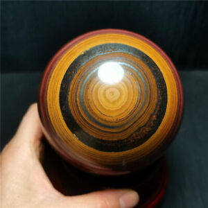 RARE1284G Natural large Tiger's Eye Sphere Ball /Energy stone /Decoration WD1194