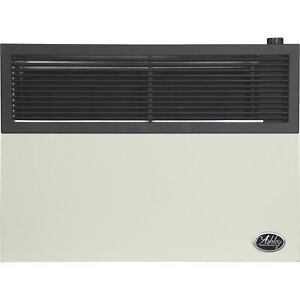 Ashley Hearth Direct Vent LP Wall Heater with Venting — 17,000 BTU, Model#