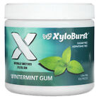 Xylitol Gum, Wintermint Gum, 100 Pieces, 5.29 oz (150 g)