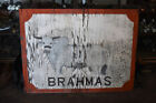Large Hand Painted Brahma Farm Sign Bull Cow For Sale Vintage Sign Texas