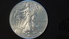 Uncirculated and Stunning, 2013 U.S.  Silver Eagle Coin,