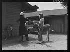 Rutland Fair,Vermont,VT,September 1941,Farm Security Administration,FSA,10