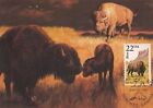 Bison Fauna World Wildlife Canada USA Art Mint Oklahoma Maxi Card FDC 1987