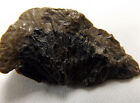 DIG-N-UTAH:  PETRIFIED PINE CONE ARGENTINA FOSSIL POLISHED # D 996