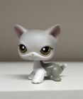 Authentic Littlest Pet Shop Shorthair Cat #138 Gray White Hazel Green Eyes LPS