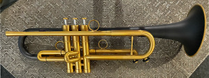 New ListingDaCarbo Trumpet Large, lightly used