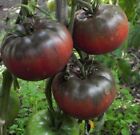 Black Krim Tomato Seeds, NON-GMO, Rare Heirloom, Variety Sizes, FREE SHIPPING
