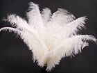 100 pcs White Ostrich feather plume 18-24 inch ,