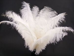 12  pcs White Ostrich feather plume 20-24 inch ,
