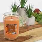 Pumpkin Spice Scented Single Wick Candle, 20 oz Mainstays