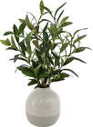 14in Indoor Artificial Olive Plant in 2-Tone Color Ceramic Vase