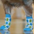 Dog Socks Doggie Design Non-Skid Blue & Green Argyle
