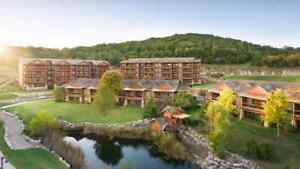 Branson Vacation Rental - Spring Break Special! Lodges at Timber Ridge 7 nights