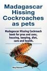 Madagascar Hissing Cockroaches As Pets  Madagascar Hissing Cockroach Book F...