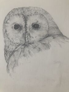 Original Signed Vintage Owl Pencil Drawing Sketch Animal Bird Wildlife Nature