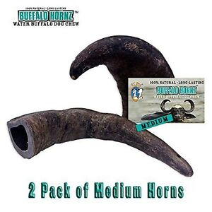 2 Pack of Buffalo Hornz Medium Long Lasting 100% Natural Water Buffalo Horn D...