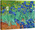 Irises Modern Stretched and Framed Floral Giclee Canvas Print by Van Gogh Famous