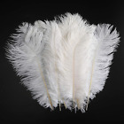 Natural Ostrich Feathers Decorations DIY - 10Pcs Large Plumas Crafts Decor for W