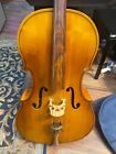 Engelhardt Cello model 110