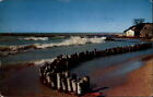 Michigan Lake wood stump break water waves ~ 1950s-60s postcard  sku291