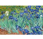 Irises in the Garden by Vincent Van Gogh 11X14 Framed Artwork Home Decor Art New