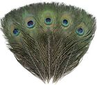 12 PCS Real Natural Peacock Eye Feathers 10-12 Inch for DIY Craft, Wedding and H