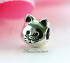 Authentic Pandora CURIOUS CAT Sterling Silver Charm 791706