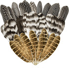 Natural Turkey Spotted Feathers, 30Pcs Pheasant Feathers for Crafts DIY Hat USA!