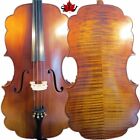 Barouqe style SONG Brand maestro cello 4/4, huge and powerful sound #13899