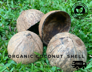 100% Natural Organic Ceylon Coconut Handmade Shell Bowl