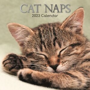 2023 Wall Calendar - Cat Naps , 12 x 12 Inch Monthly View, 16-Month Animal Theme