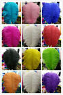 10-500pcs High Quality 6-24 inch Natural Ostrich Feathers Wedding Art Decorate