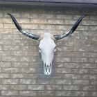 New ListingSteer Cow Skull 3  feet  5   inches w Polished Bull Horns home decor (925)