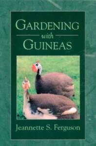 Gardening with Guineas: A Step-By-Step Guide to Raising Guinea Fowl on a  - GOOD