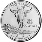2007 P Montana State Quarter.  Uncirculated From US Mint roll.