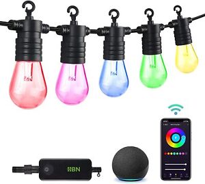 HBN 96Ft Outdoor Smart String Lights 30 Bulbs,Works with Alexa/Google Home