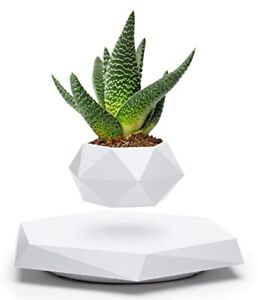 Floating Plant Pot Levitating Succulent Air Bonsai Home Office Desk Decor White
