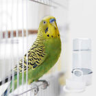 New ListingBird Water Feeder Dispenser Bird Seed Container Automatic Bird Water Feeders