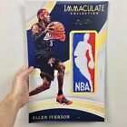 Allen Iverson Logoman Immaculate Collection 1/1 Poster