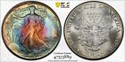1986 MS69 Silver Eagle PCGS Rainbow Toned Trueview Video