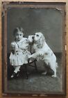 Antique Cabinet Card Photo Young Girl English Spaniel Dog Original Silver Print
