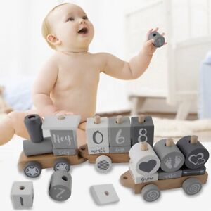 Baby Milestone Blocks Train Building Block Premium Solid Wood Boy&Girls Baby Toy