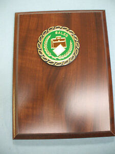 6 x 8 brown plaque sales award green metal disk