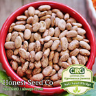 Heirloom Bean Seeds | Non-GMO - Choose from several bean varieties BULK
