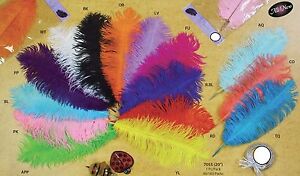 Large Jumbo Big Ostrich Feathers Plummage Plume Pluma Fluff Quill Color 2-Count