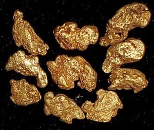 10 Natural GOLD NUGGETS California Gold Bright Shiny Placer Gold Miner Direct