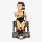 ANDRE The GIANT Light Up Stage Entrance WWE FOCO Bobblehead ?/223 WRESTLEMANIA