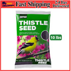 New ListingPremium Sterilized Nyjer/Thistle Seeds Wild Bird Food 10 lb Bag Fresh and Sealed