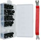 100Pack Universal Rivet Push Clips Retainer Fender Liner Fastener for Car 6 Size (For: More than one vehicle)