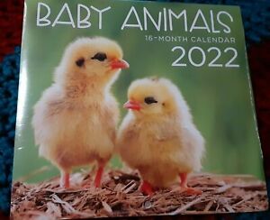 2022 Baby Animals 16 Month Mini Wall Calendar 5.5